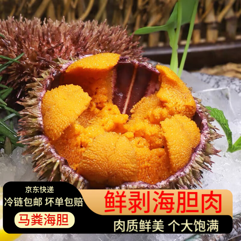 纯海胆非刺身鲜活新鲜速冻无冰现剥纯海胆肉 马粪海胆纯肉100g*2盒
