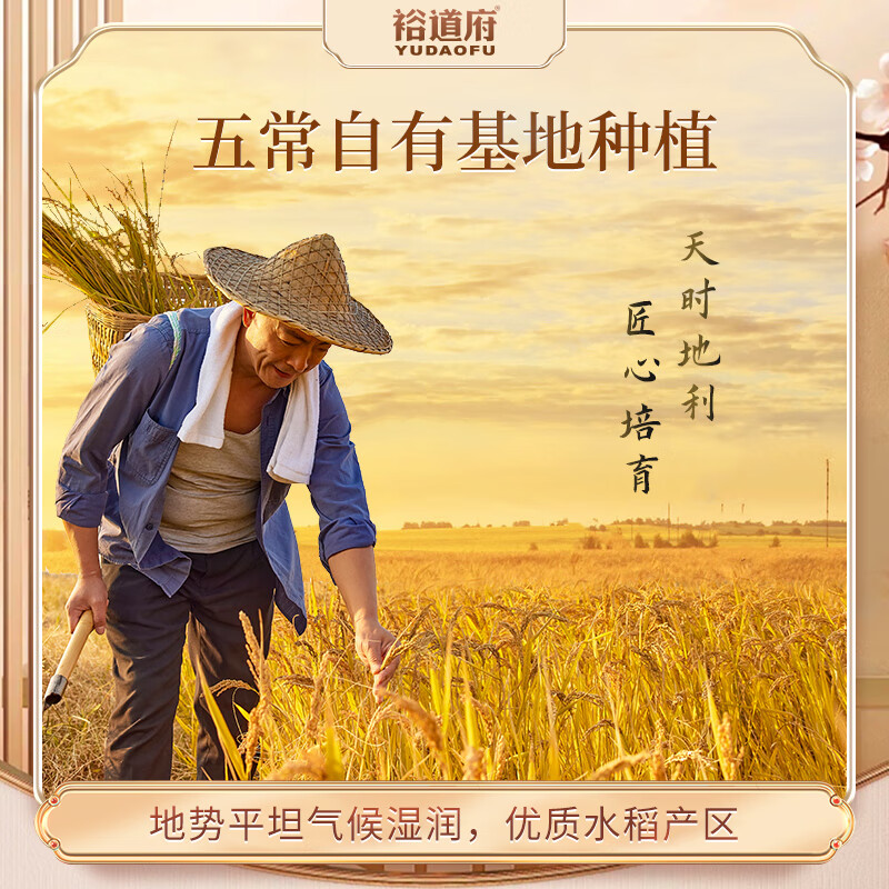 图 6