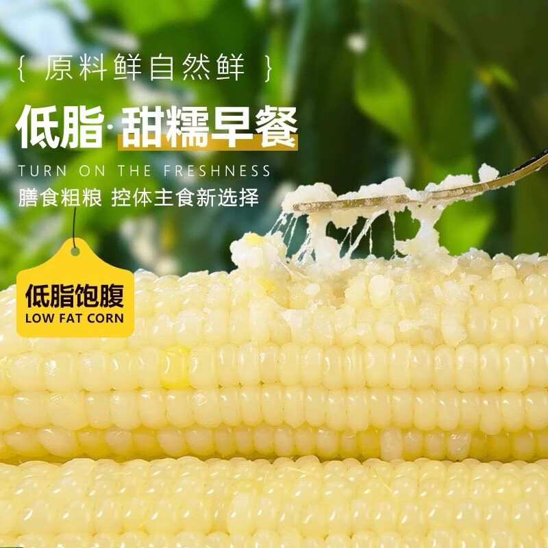 北典农甜糯黄玉米真空包装早餐食品粘玉米超市糯玉米减脂餐玉米 甜糯黄玉米6棒【均重>260g】