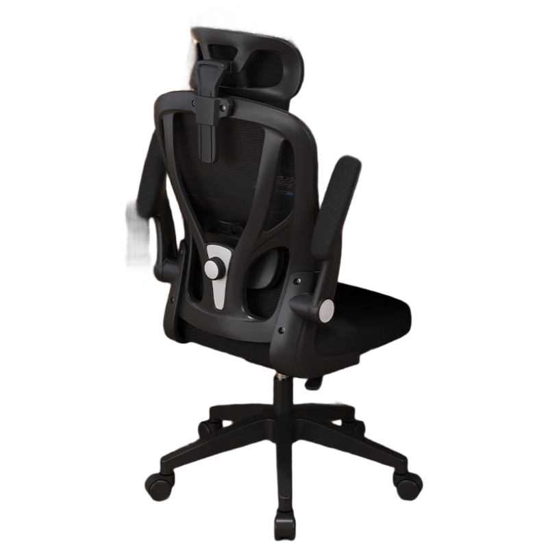 ��ľ�����幤ѧ�� �����μ��õ羺���˹���ѧ���ξ����칫����ѧϰ�� 159.1Ԫ