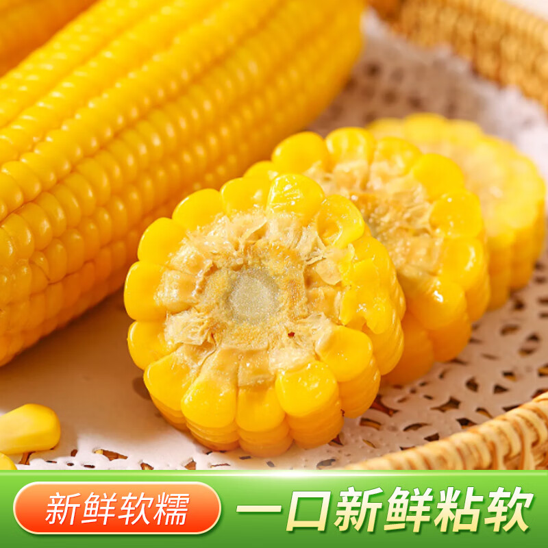 七稻町东北黄糯玉米新鲜甜糯玉米棒香甜玉米大棒代餐低脂整支真空 黄糯玉米家庭装（300g-320g）*10支