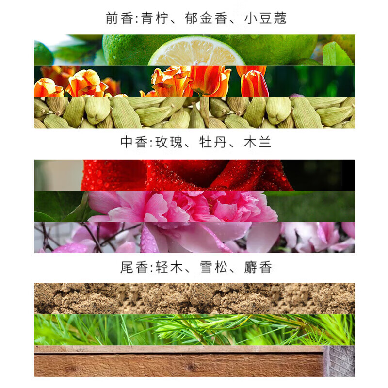 卡诗正品保证护发精油进口山茶花菁纯亮泽经典香氛护发油菁纯修护 赋源芯丝头皮防掉精华液90ml