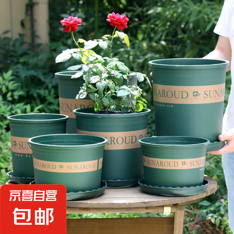 ���� 0.5���ء��ھ�10cm