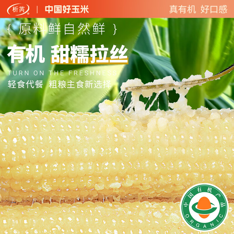 析芮東北有機甜糯玉米棒真空白玉米糯玉米新鮮 【精選 禮袋】有機白糯玉米2.5Kg/袋（共10根