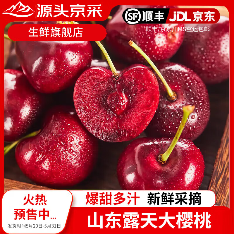护山人【头茬预定】山东大樱桃国产车厘子新鲜水果 时令生鲜水果端午节 4斤(净重)  23-26mm