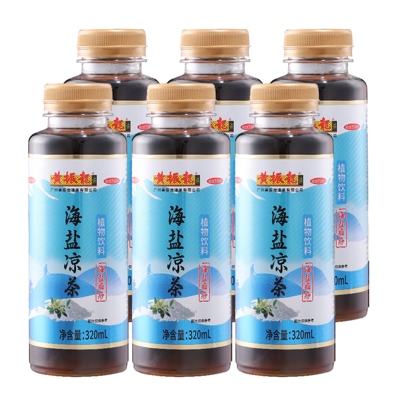 黃振龍廣州涼茶甘味癍痧涼茶酸梅湯山楂冬瓜茶薏仁燒烤聚會(huì )組合裝 【咸味】海鹽癍痧6支
