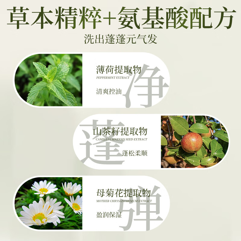 霸王控油蓬松洗发水氨基酸温和清洁洗发露茶清香洗头膏男女士洗发液 750ml茶皂素控油洗发水