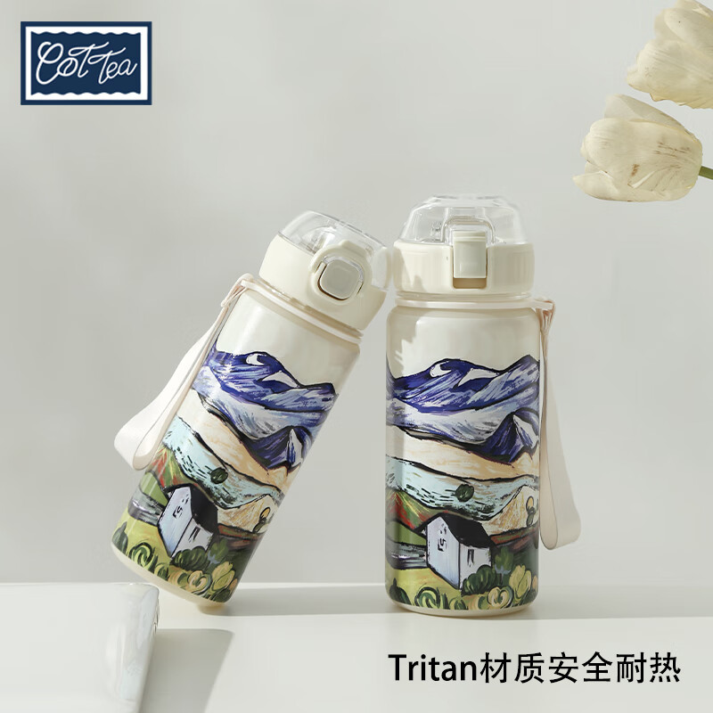 TAEFAIR山景油画弹跳直饮杯茶水分离儿童成人户外便携Tritan高颜值水杯 C-山景小屋Tritan弹跳杯650ml