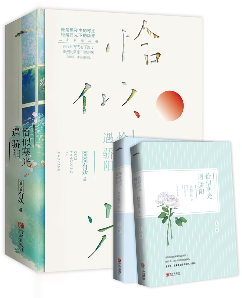 恰似寒光遇骄阳（上下）