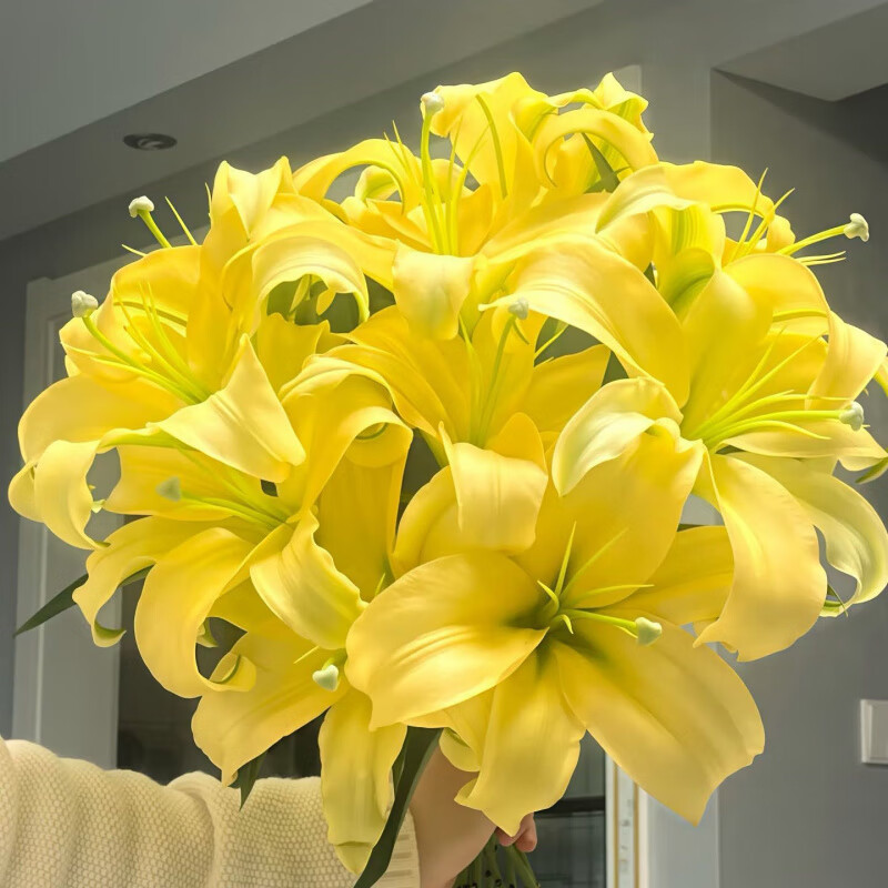禾之润黄天霸香水百合鲜花云南昆明基地直发水养真花办 黄色(黄天霸)8朵+5支配草 C级中花头长50-60cm 花苞6-9cm