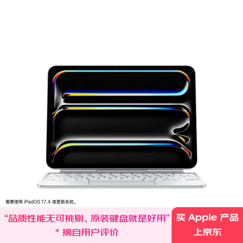 Apple/ƻ�� ��ؼ��� - ������ 11 Ӣ�� iPad Pro (M4) - ���� (ƴ��) - ��ɫ