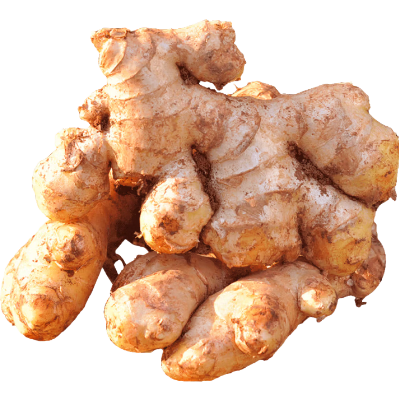 ������������С�ƽ����� 2��װ 1000g���� 6.64Ԫ(������)