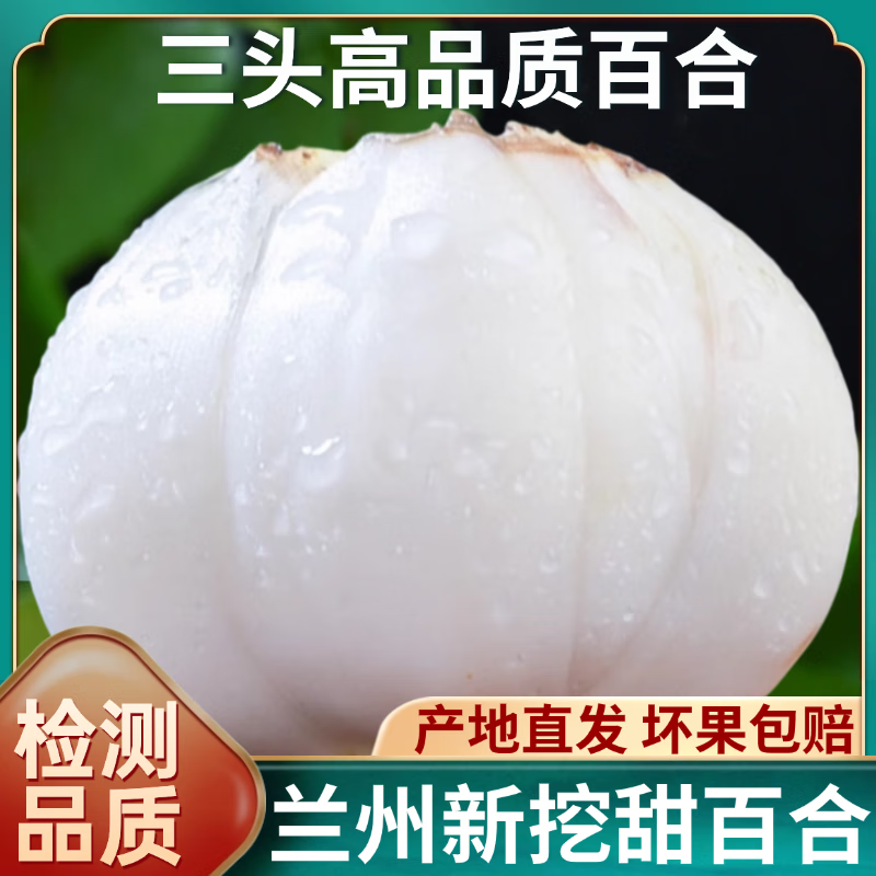 陇粮家兰州百合新鲜当季鲜百合甘肃食用非百合干现挖生鲜水果蔬菜 普邮 1斤 装精品三皇【每斤9颗】