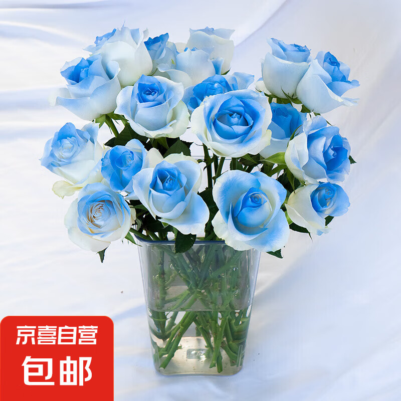 ��õ�廨��10֦װ�����ʻ�ֱ���������ﻨ�����ò廨ĸ�׽�520 �����õ��10֦����ɫ��