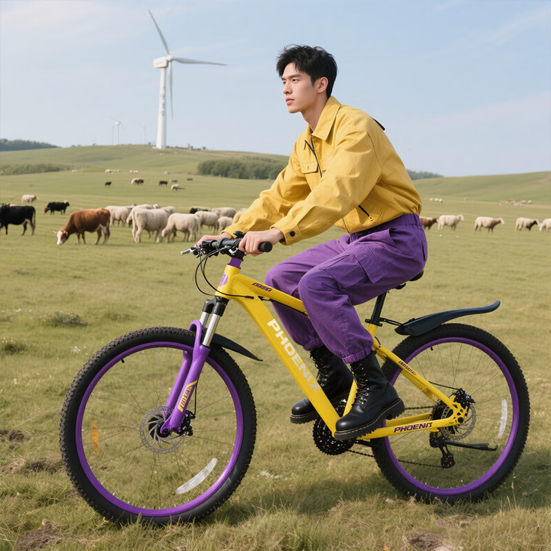 ���ڲ��������ɽ�����г���������ʿŮʿѧ�����ٵ�ɲ����ȫ���ɽ�س����³� ���ʻ�/̼�ּ�/���Ͻ�˫������� 26Ӣ�磨����160-180���ң� 24��-��׼���� 627Ԫ