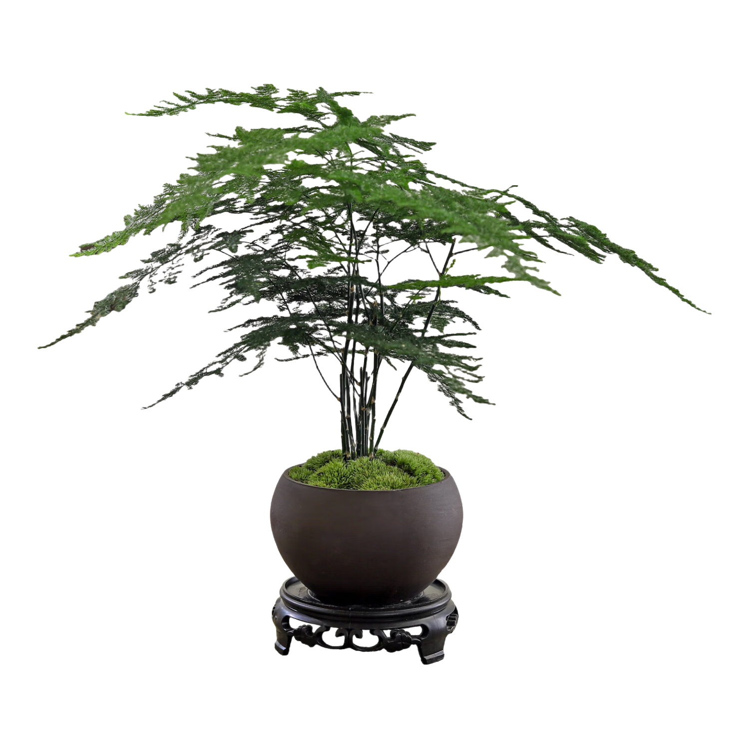 ��ѿ����̦޺�׷�޺��ֲ���ڲ輸�����մ����԰칫�Ұڼ��辰�������� ����������-���ܰ��� �����Ժ�