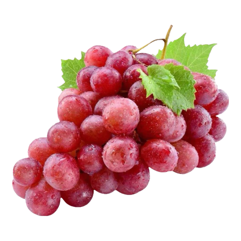 �½���³���ֲ����ʺ�������ˮ�� 5��/�䣨���أ� 23.9Ԫ