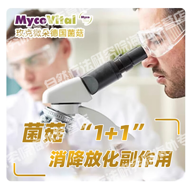 MycoVital玫克微朵德国进口巴西菇猴头菇粉胶囊343放化恶心疗后呕吐无食欲 巴西菇猴头菇粉胶囊 90粒*1瓶 巴西菇猴头菇