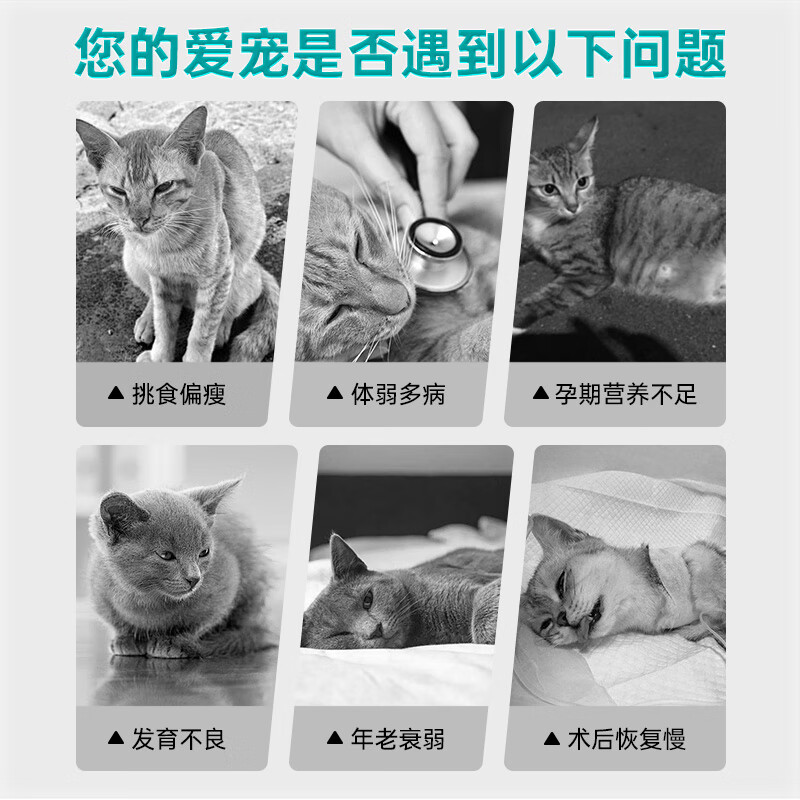 汉维宠仕维力补 鱼油速补120g乳清蛋白鱼油幼猫幼犬发育哺乳期术后恢复 营养膏