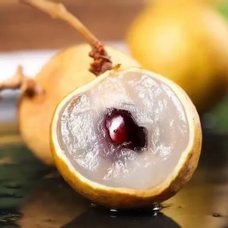 三萌果蔬广东石硖储良龙眼【顺丰冷链-多地隔日达】新鲜龙眼桂圆水果送礼 【顺丰速发】7A级丨特级果【自吃推荐】 3斤石硖龙眼【80%人选-超划算】净重2.6斤
