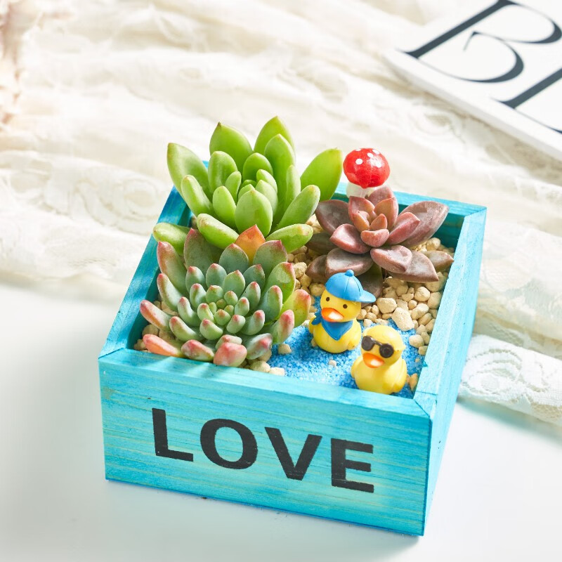 �����ȶ���ֲ���������  ��ɫloveľ�У��ɰ�Ѽ�ӣ� ����