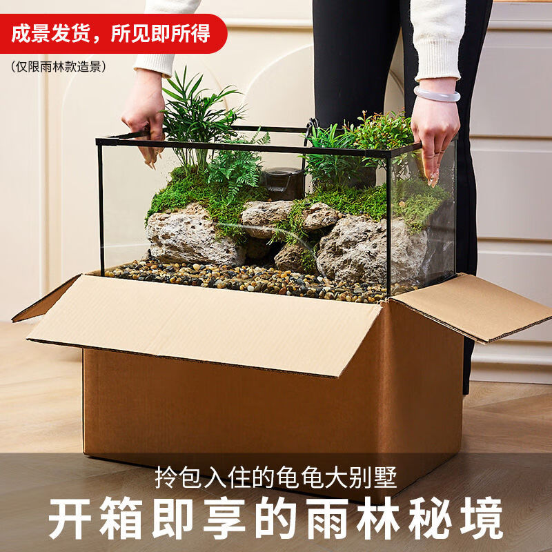 乌龟缸高清玻璃生态造景龟鱼缸一体混养生态缸客厅专用家用饲养缸 60雨林全套【缸+设备】