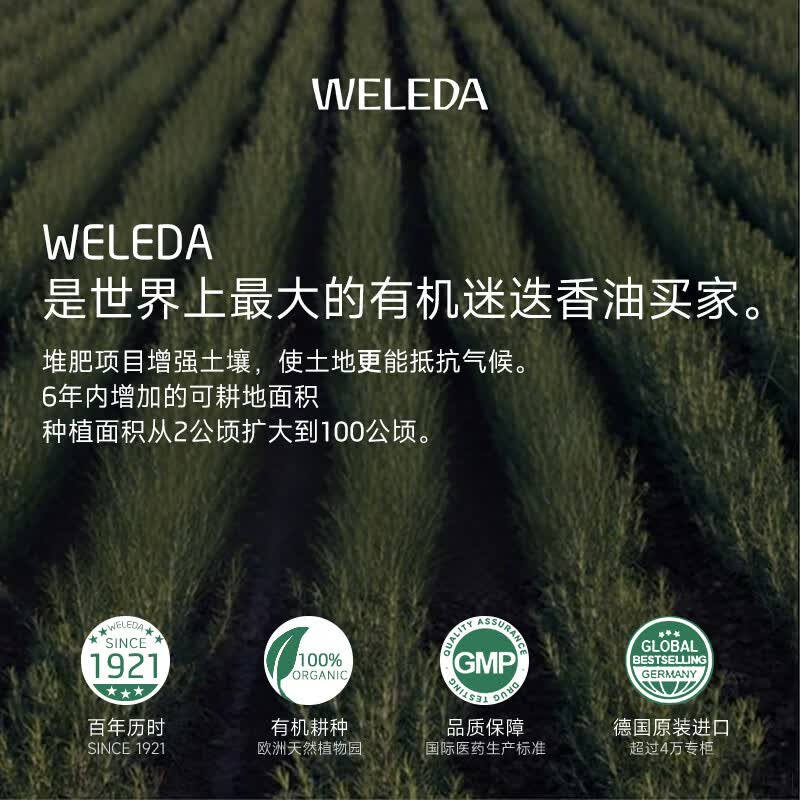 维蕾德(WELEDA)头皮精华防脱固发营养液清爽控油止痒迷迭香头皮护理液免洗进口 【强韧丰盈发量】周期稳固装200ml