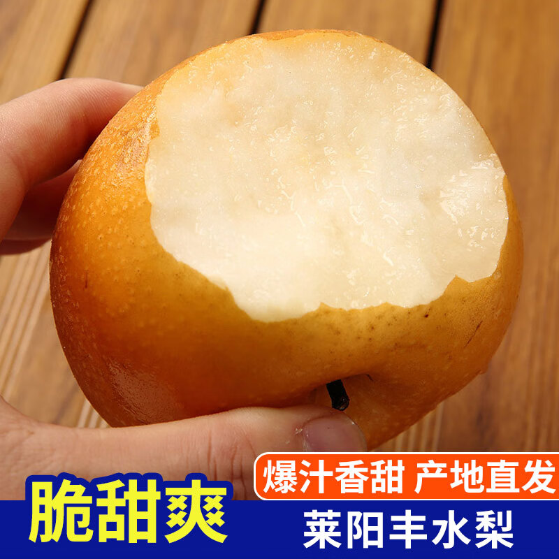 琪江果山东莱阳丰水梨 脆甜多汁当季新鲜水果整箱 莱阳丰水梨4.5-5斤单果350g+