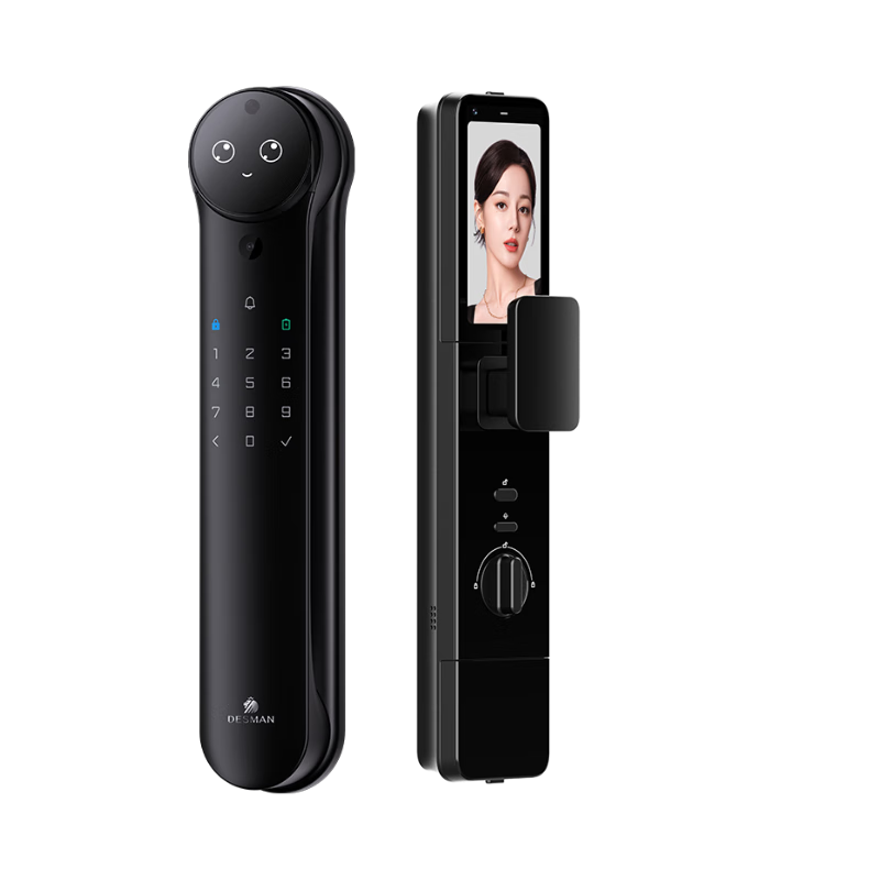 德施曼（DESMAN）智能门锁人脸掌静脉识别可视猫眼双屏Ai智能麒麟R9（云台版）