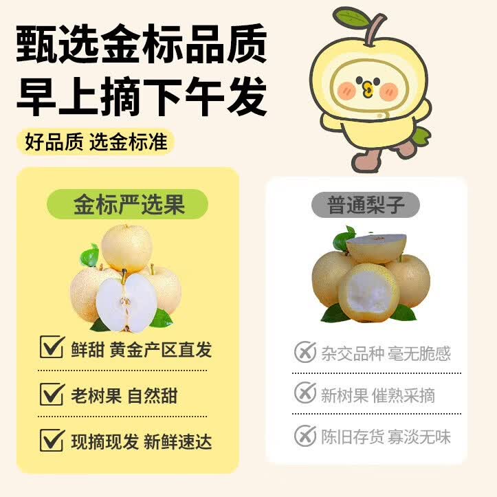 鲜其正宗皇冠梨冰糖雪梨10斤水果整箱批发现摘梨子当季新鲜脆甜多汁 3.5斤【个人尝鲜-较划算】 【优选尝鲜】中果I单果200g+