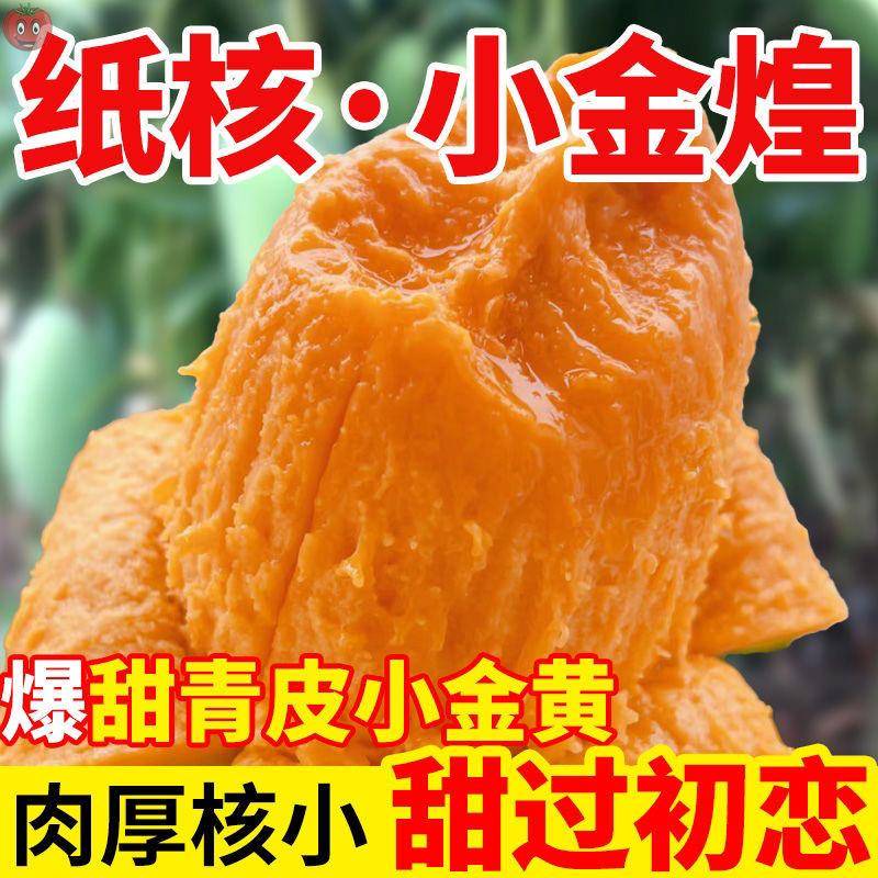 张小壮广西金煌芒 精选8.5-9斤