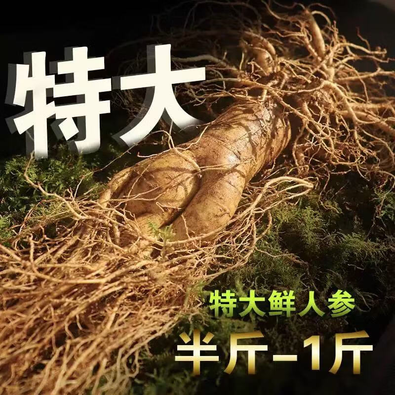 灵壹禾吉林特大新鲜现挖人参带土新鲜人参煲汤山参一斤发顺丰 精选新鲜带泥巴人参 225g*1盒