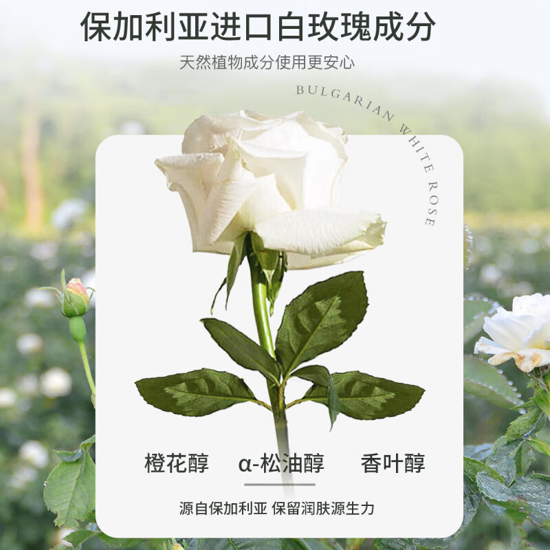 ZRZR保加利亚白玫瑰纯露补水保湿美容爽肤水柔补水喷雾精油湿敷水 白玫瑰纯露250ml*2瓶+湿敷膜*1包