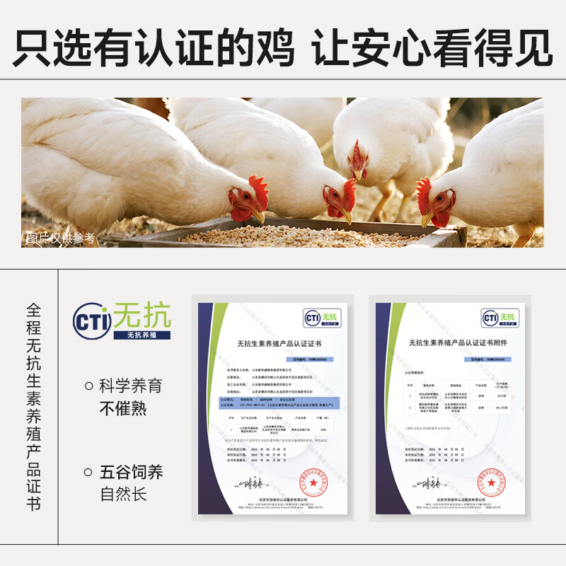 小熊早安无抗双蛋白藜麦鸡排100g 营养早餐 高蛋白升级健身儿童早餐 【囤货装】无抗双蛋白藜麦鸡排20袋