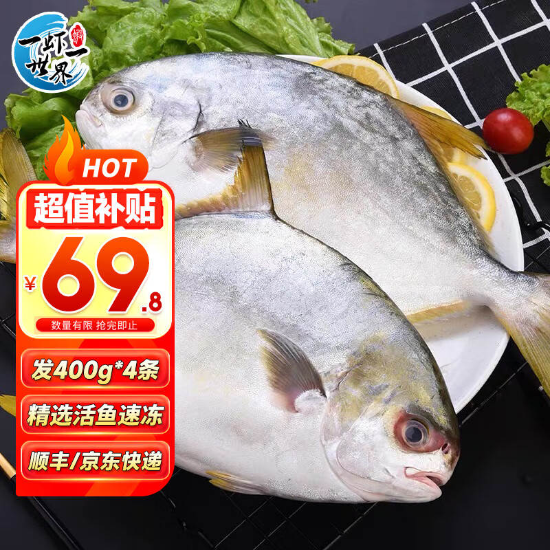 一虾一世界 国产新鲜冷冻无冰衣白鲳鱼/金鲳鱼 清蒸香煎烧烤食材 新鲜捕捞 金鲳鱼净重400-500g*4条