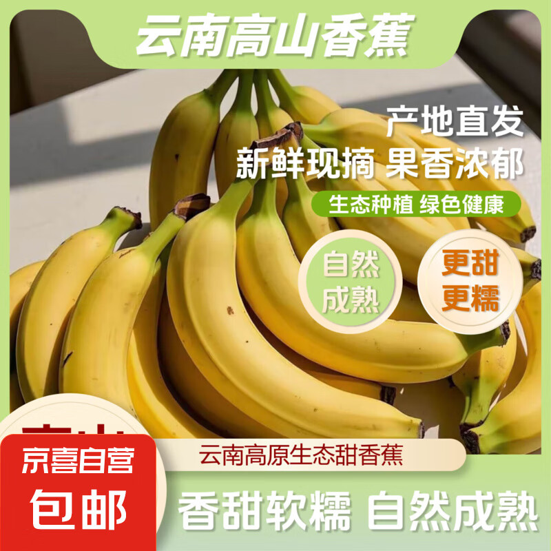 高山甜香蕉新鲜现摘自然熟青皮香蕉发货2-3天放熟吃 高山香蕉带箱特价 2斤