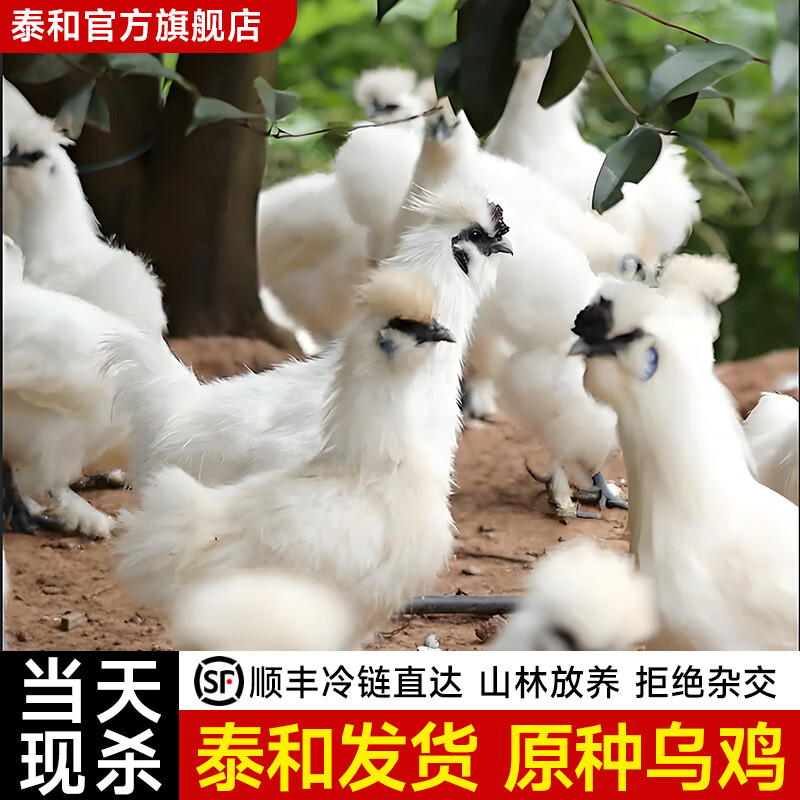 泰和烏雞泰和原種烏雞新鮮現殺土雞農家散養老母雞公雞活雞整只正宗烏骨雞 五谷林下散養180天泰和烏雞700g(