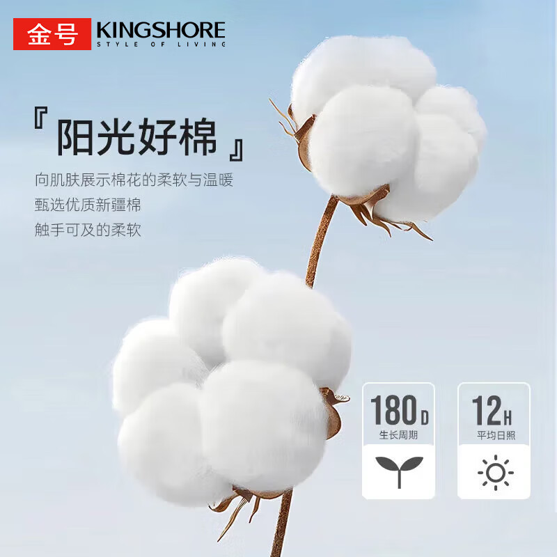 金号A类里外全棉新疆棉花被夏季春秋被子纯棉加厚纯棉花棉被单人春秋 夏洛-白【100%里外全棉】 新疆棉花被【150*200cm约4斤 】