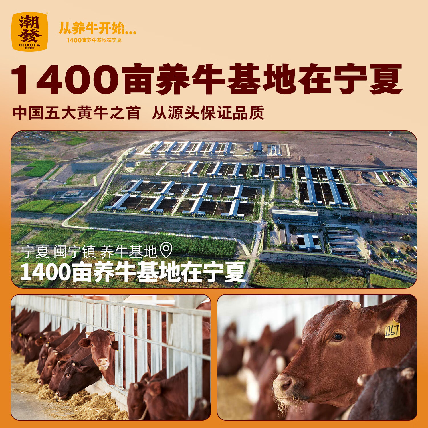 潮发爆汁牛肉丸潮汕牛筋丸火锅食材烧烤关东煮生鲜食材【门店同款】 牛肉丸250g*2+牛筋丸250g*2（共2斤） 潮汕纯牛肉丸【不添加其他肉】