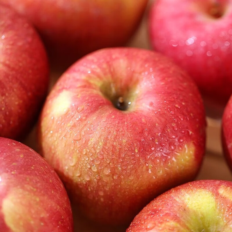 龙多鲜JD送货上门冰糖心富士苹果红富士苹果新鲜水果当季整箱现摘 整10斤  约18-24枚  净重8.5斤