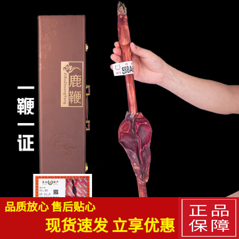 鹿鞭泡酒料整支鹿鞭約130g男人男性用滋補泡酒藥材可搭鹿茸片 茸 茸片鹿鞭干