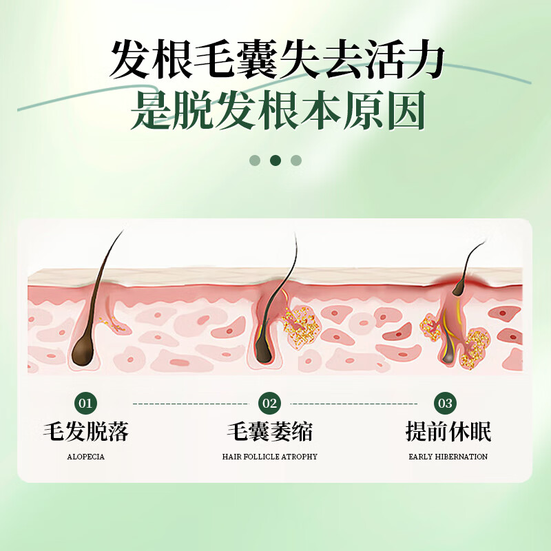 康百力美国进口黑枸杞刺梨复合片可搭白发黑发食疗防脱生发增发乌发丸吃 【脱发/掉发/秃头/地中海】9瓶超值装【内调养发】