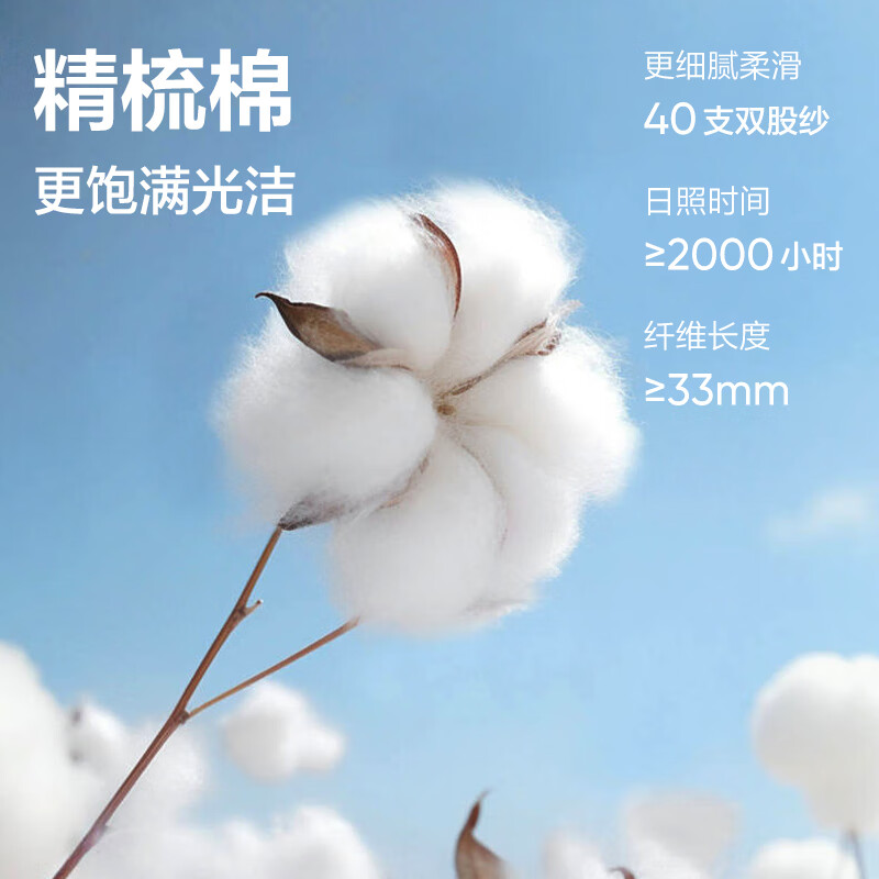 网易严选25新品新疆棉长袖T恤10A抗菌万能打底衫不易变形男女同款 25秋冬四季款长袖-沙砾色 L