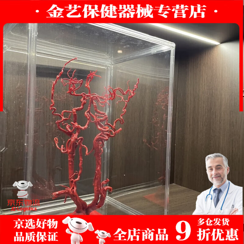通用(GE)通用脑血管模型11 3D打印 解剖介入学习 内外科模型网红 科模型 科模型网红