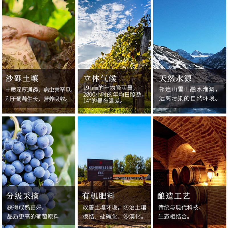 威龙有机干红葡萄酒美乐原特甘肃沙漠绿洲有机葡萄庄园国产高品质红酒 威龙有机美乐原特干红750mlx1