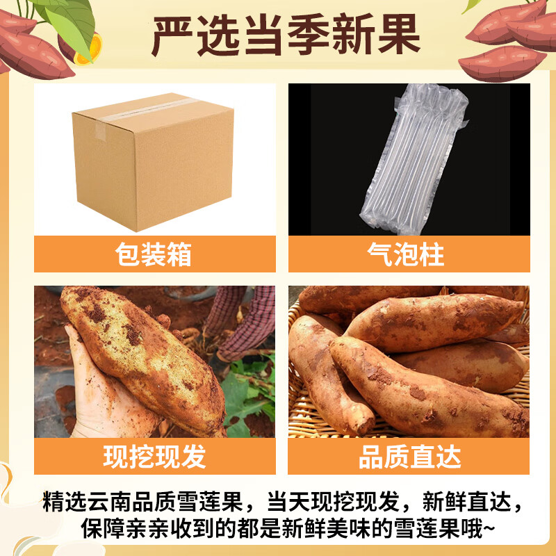 骄瑰云南天山雪莲果【多地次日达】当季水果新鲜现挖现发黄心果整箱发 5斤清甜果【单果100-250g】净重4.5斤
