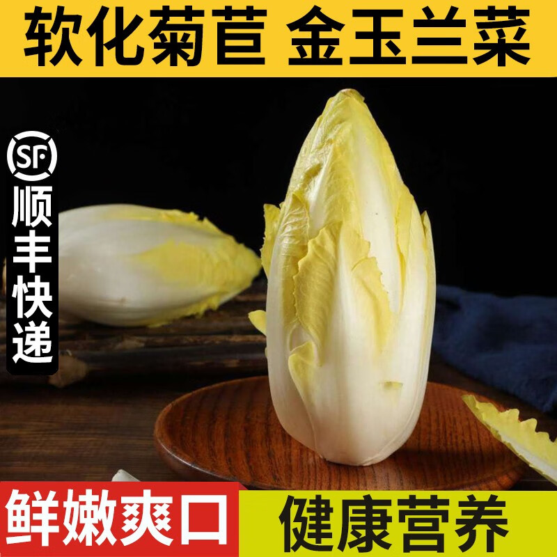 良知农哥【顺丰】金玉兰菜新鲜芽球软化菊苣凉菜沙拉生吃即食蔬菜健康