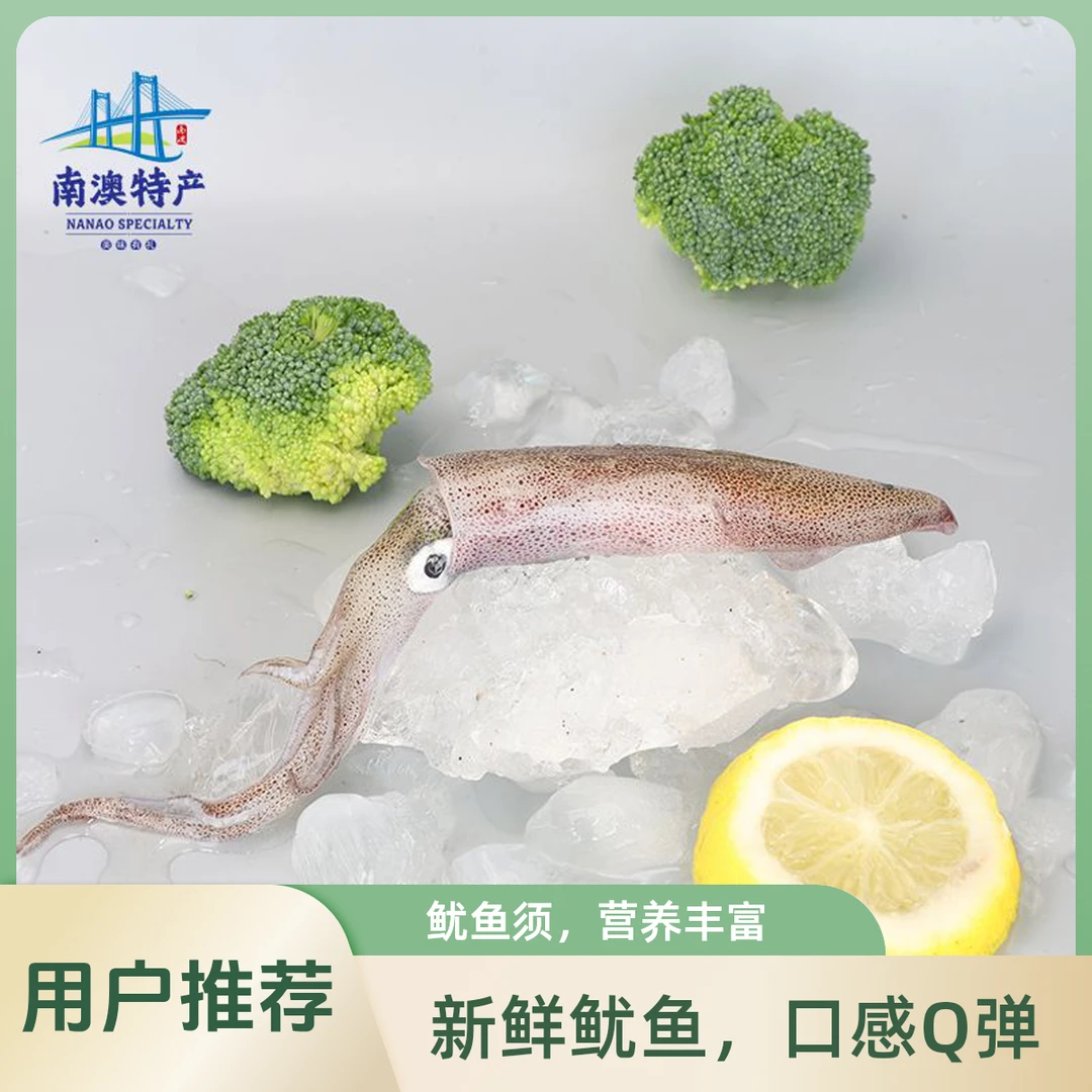 井澳南澳特产 大灯管鱿鱼新鲜速冻原产地发货运动海产 100g(净重)