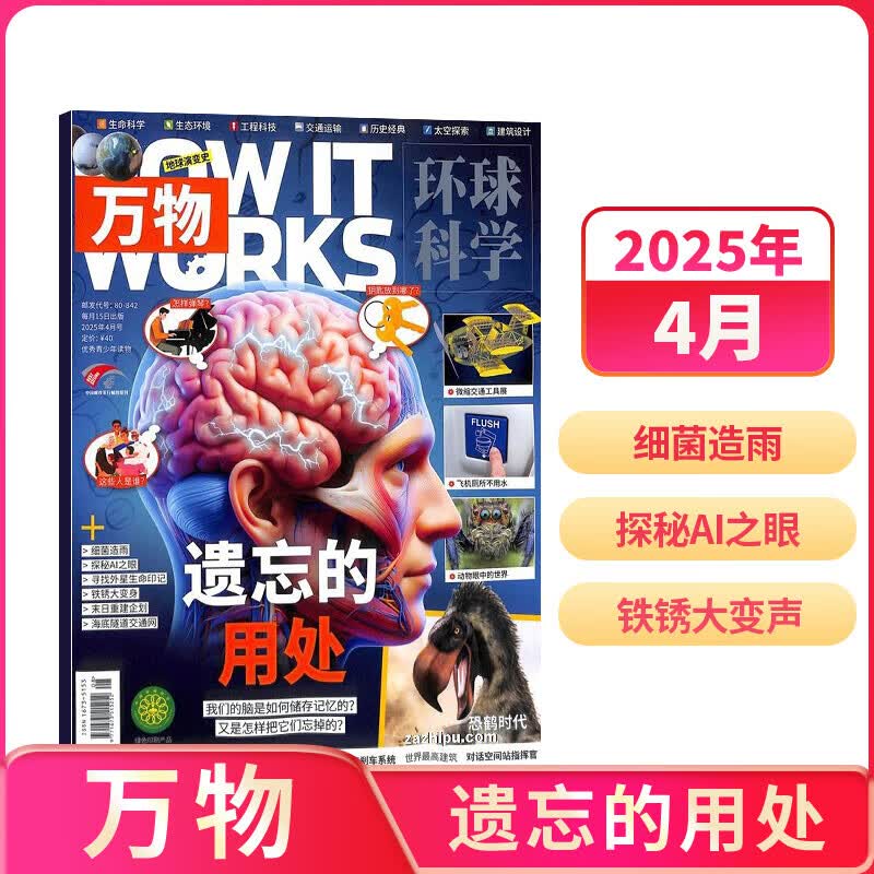 【现货包邮】7-15岁青少年暑期阅读 好奇号/万物单期杂志订阅 2025/2026年订阅 小学生课外阅读科普百科知识拓展 通识教育兴趣培养 语文写作素材积累少儿阅读 杂志铺杂志订阅暑期阅读包 【现货】 京东折扣/优惠券