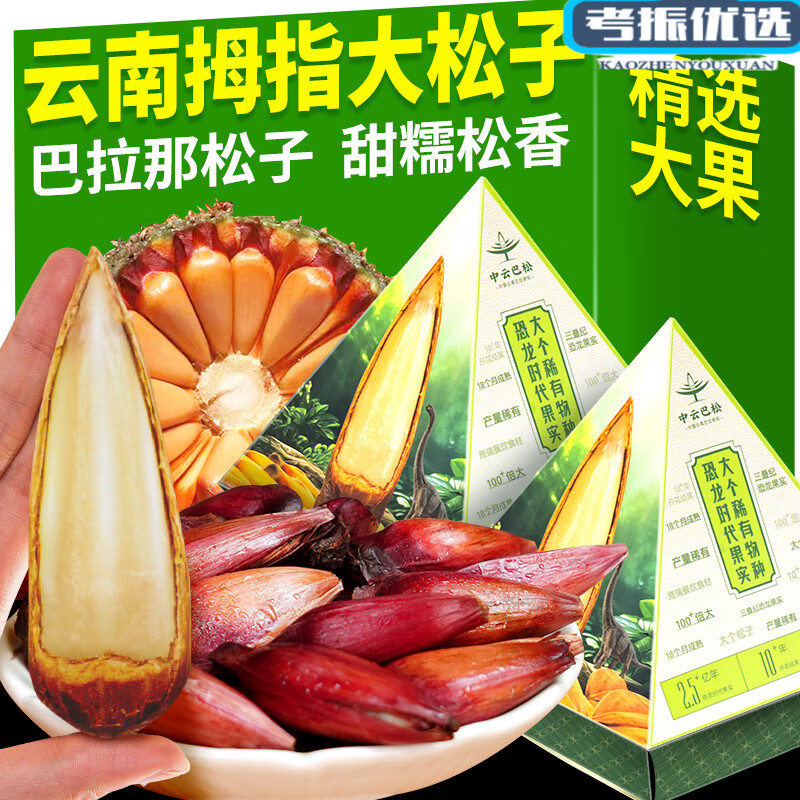 食怀巴拉那松子云南特产原味熟食大颗粒拇指大松子坚果礼盒装送礼收藏 巴拉那大松子80x1盒(每颗独立包